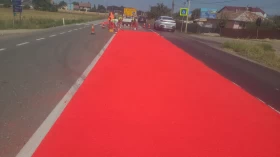 covoare-antiderapante-gamida-017