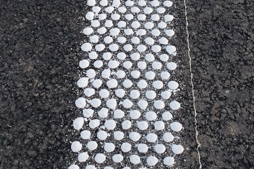 Marcaje biocomponent gamida 02